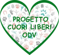progettocuoriliberitrasp-e1696295124349